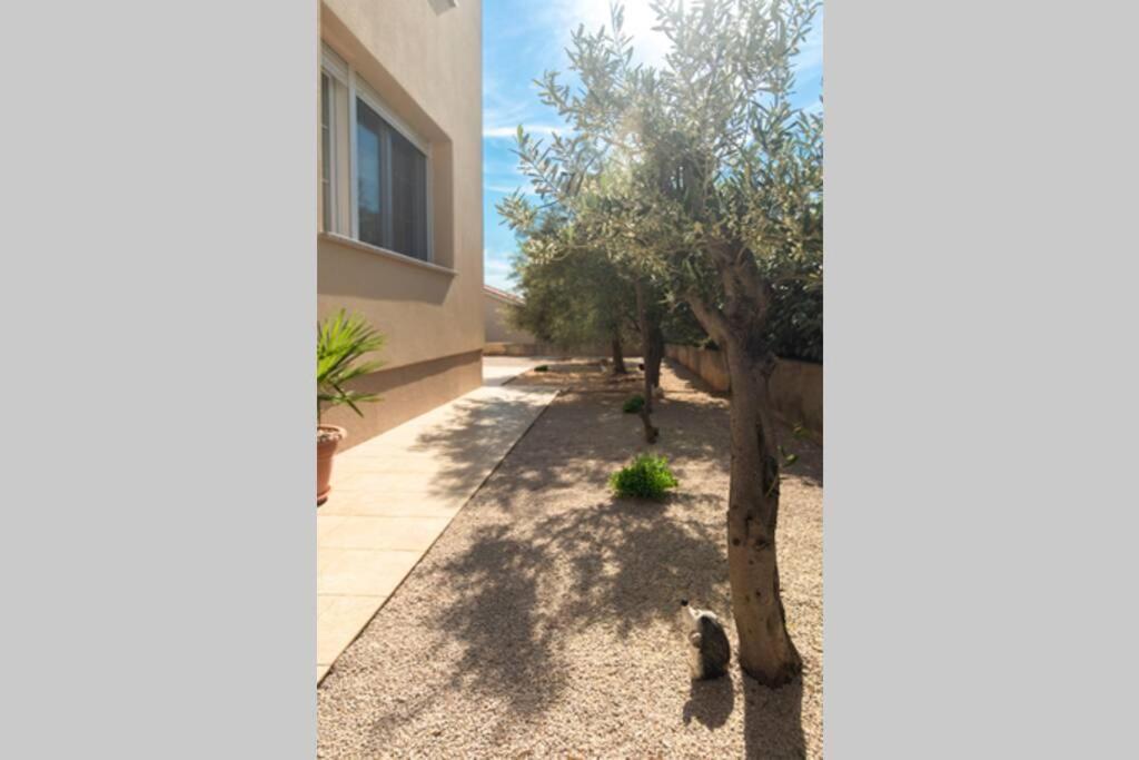 Apartment Natali Punat- Free Parking On Premises Exterior foto